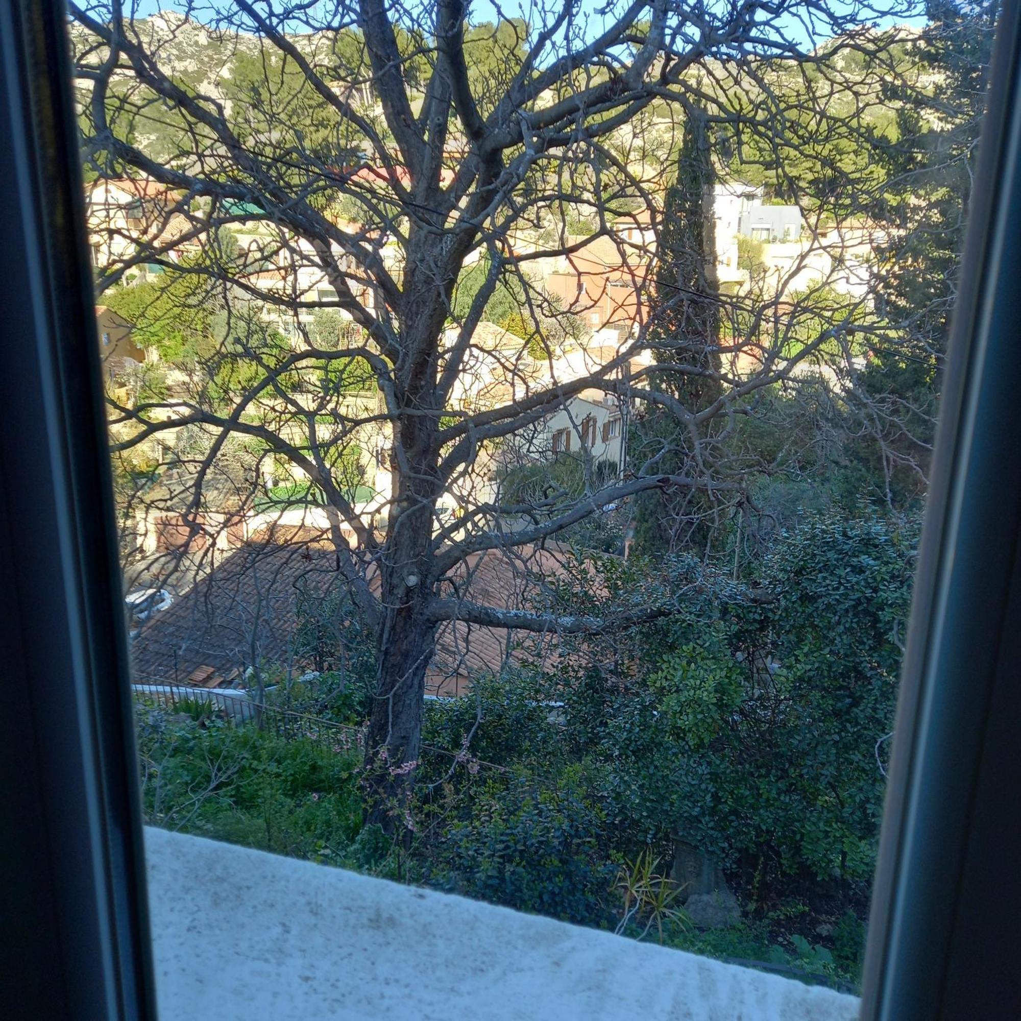 Petit Parmi Les Pins Et Les Cypres
