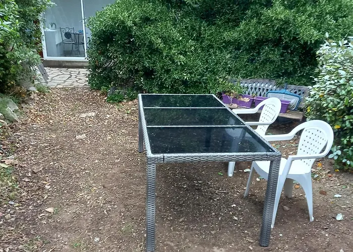 Petit Studio Parmi Les Pins Et Les Cypres