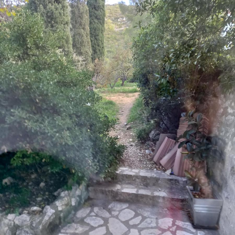 Petit Parmi Les Pins Et Les Cypres Appartamento