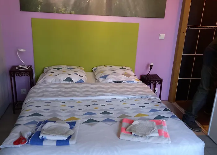 Petit Studio Parmi Les Pins Et Les Cypres